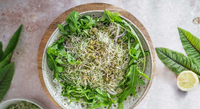 Sprossensalat mit Leinöl