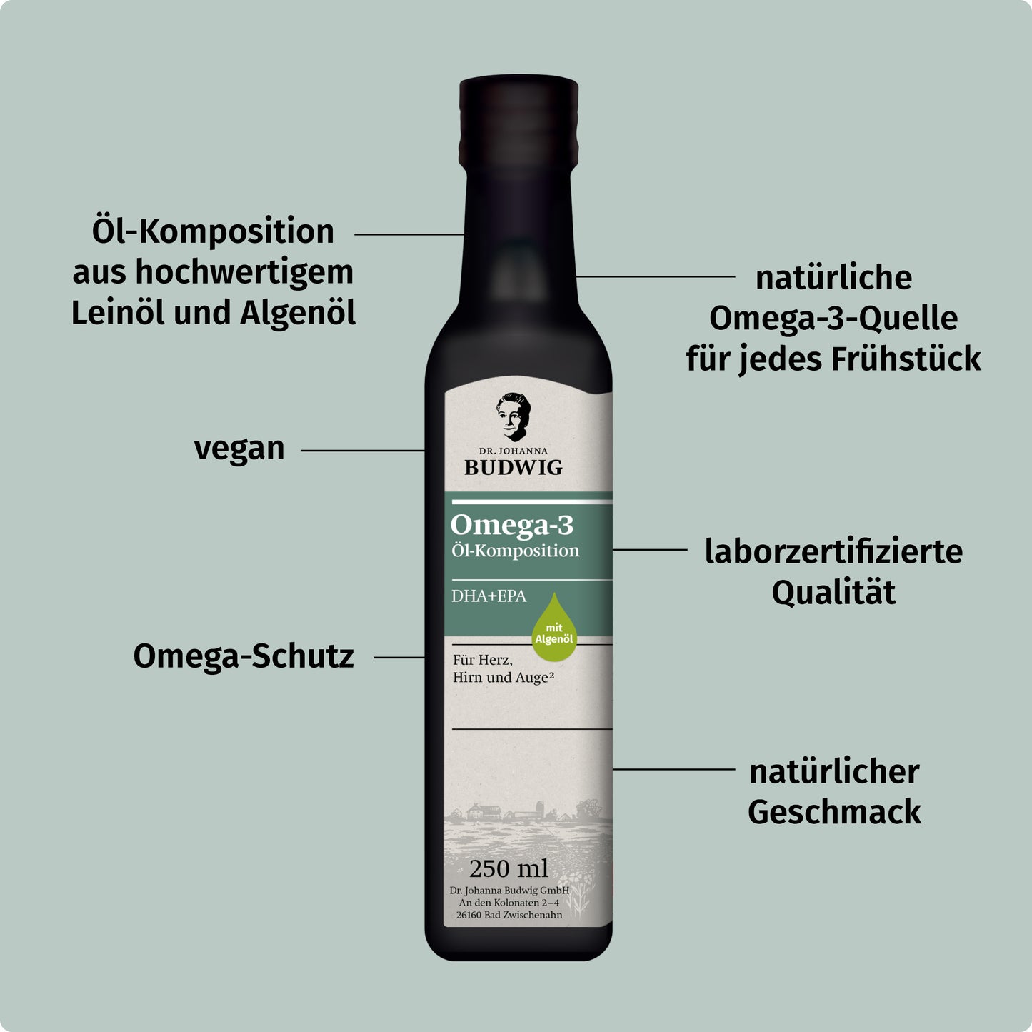 Vital Porridge Kennenlern-Paket