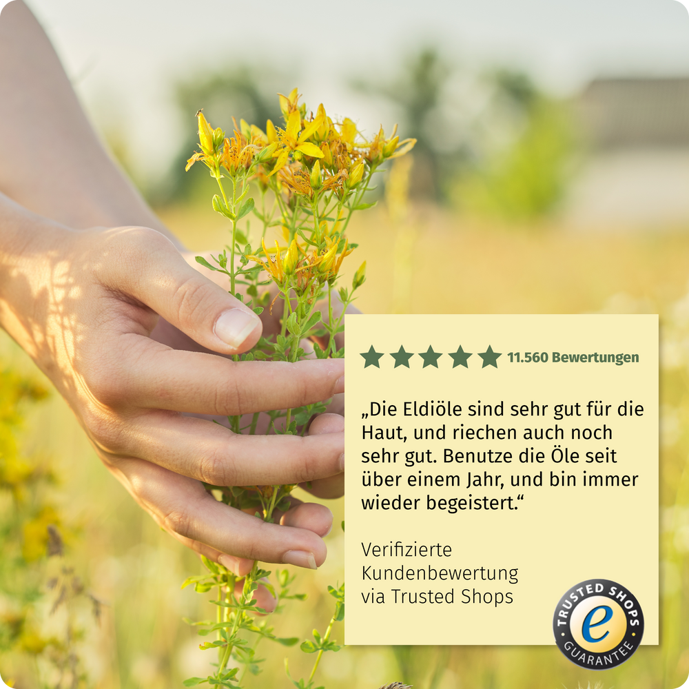 Eldi-Öl Johanniskraut