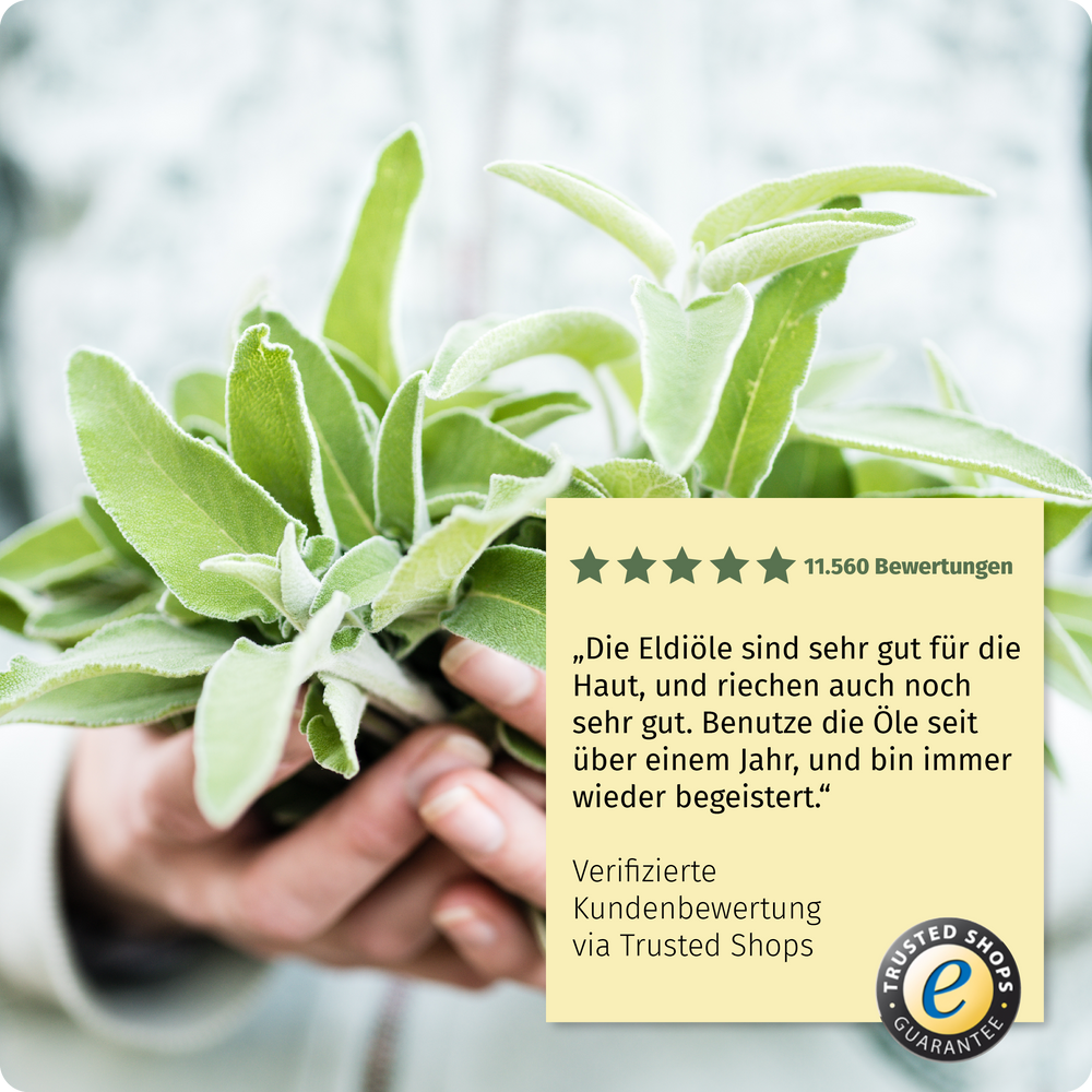 Eldi-Öl Salbei