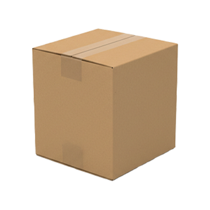Versandkarton für Algenöl 3er-Pack